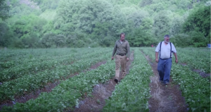 Ingles Markets: Darnell Farms video