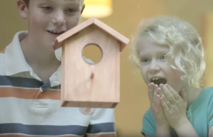 children amazed at birdhouse