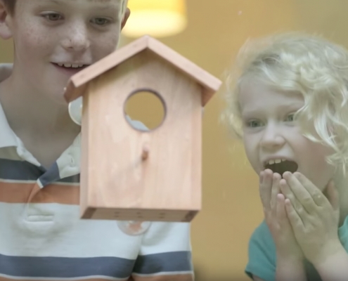 children amazed at birdhouse