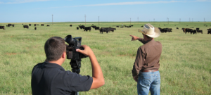 filming-small-business-farm