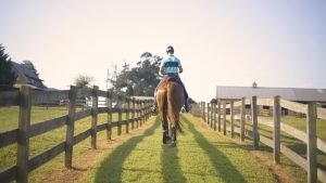 Julio Mendoza and His Horse