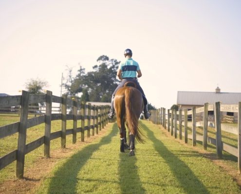 Julio Mendoza and His Horse