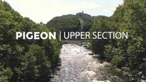 pigeon river
