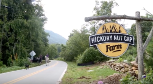 hickory nut gap farm