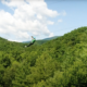 a person going down a zipline over lush green mountains